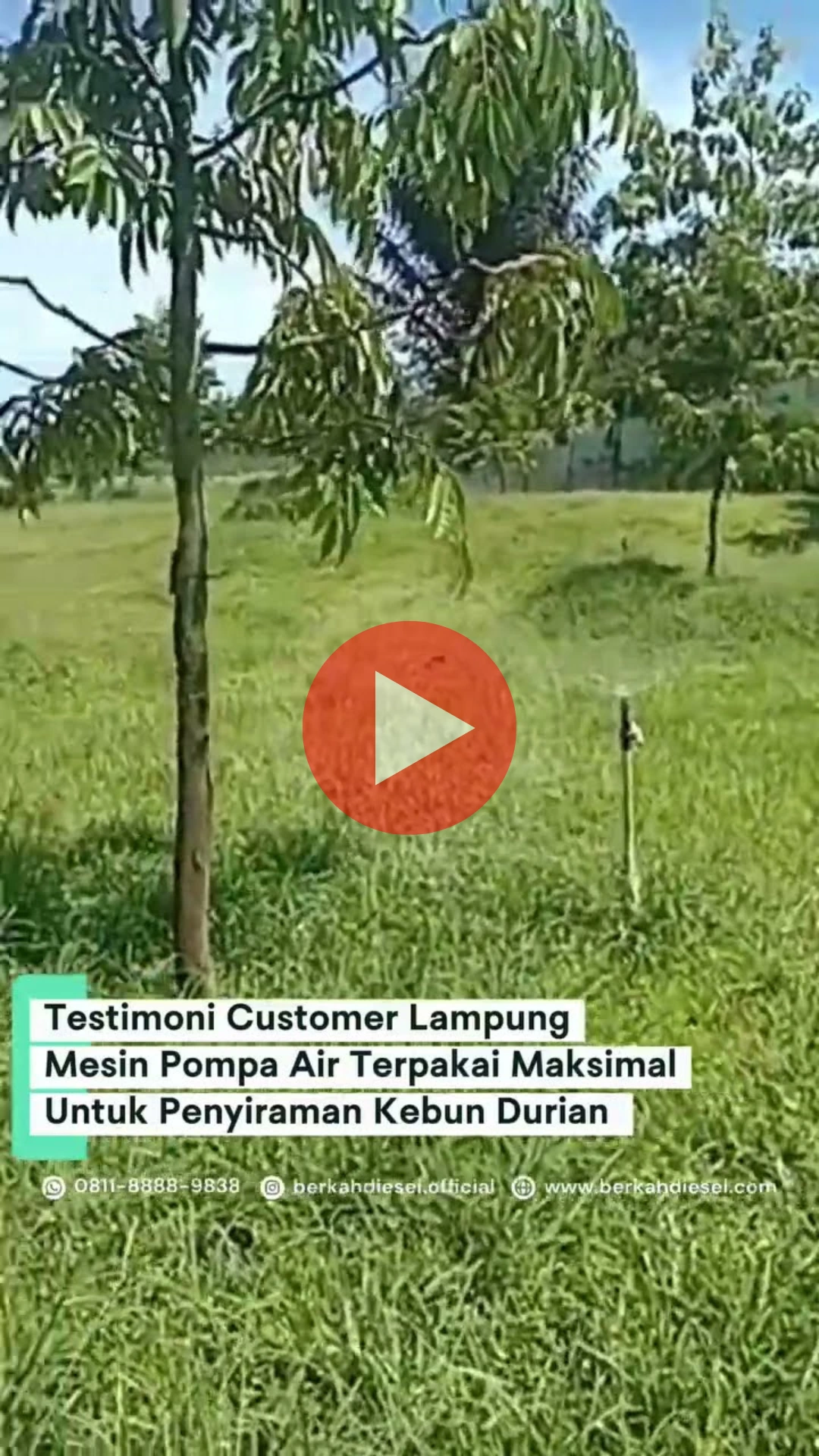 Testimoni Berkah Diesel Indonesia di Lampung